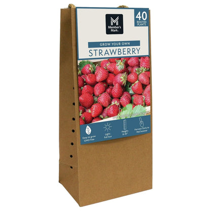 Member's Mark Strawberry Ozark Beauty, 40pk