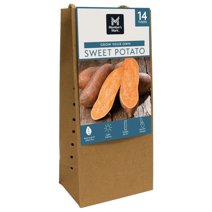 Member's Mark Sweet Potatoes, 14pk