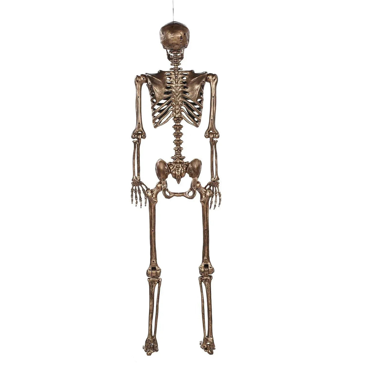 Member's Mark Talking Skeletons, Set of 2