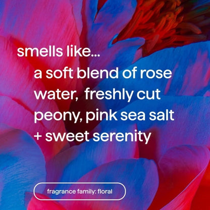 Method Body Lotion, Pure Peace, Rose Water, Peonies + Pink Sea Salt notes, 24 Hours of Moisture, 14 oz (PACK OF 3 )