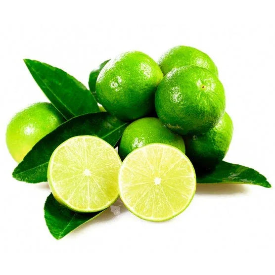 Mexican Key Lime Semi-Dwarf