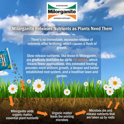 Milorganite Long Lasting All Purpose Lawn Food, 6-4-0 Fertilizer, 32 lb.
