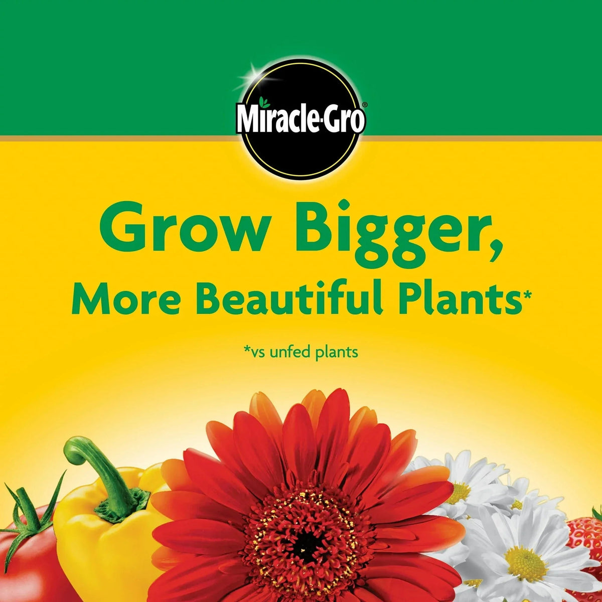 Miracle-Gro Water Soluble All Purpose Plant Food, For All Plant Types