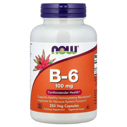 NOW Foods, B-6, 100 mg