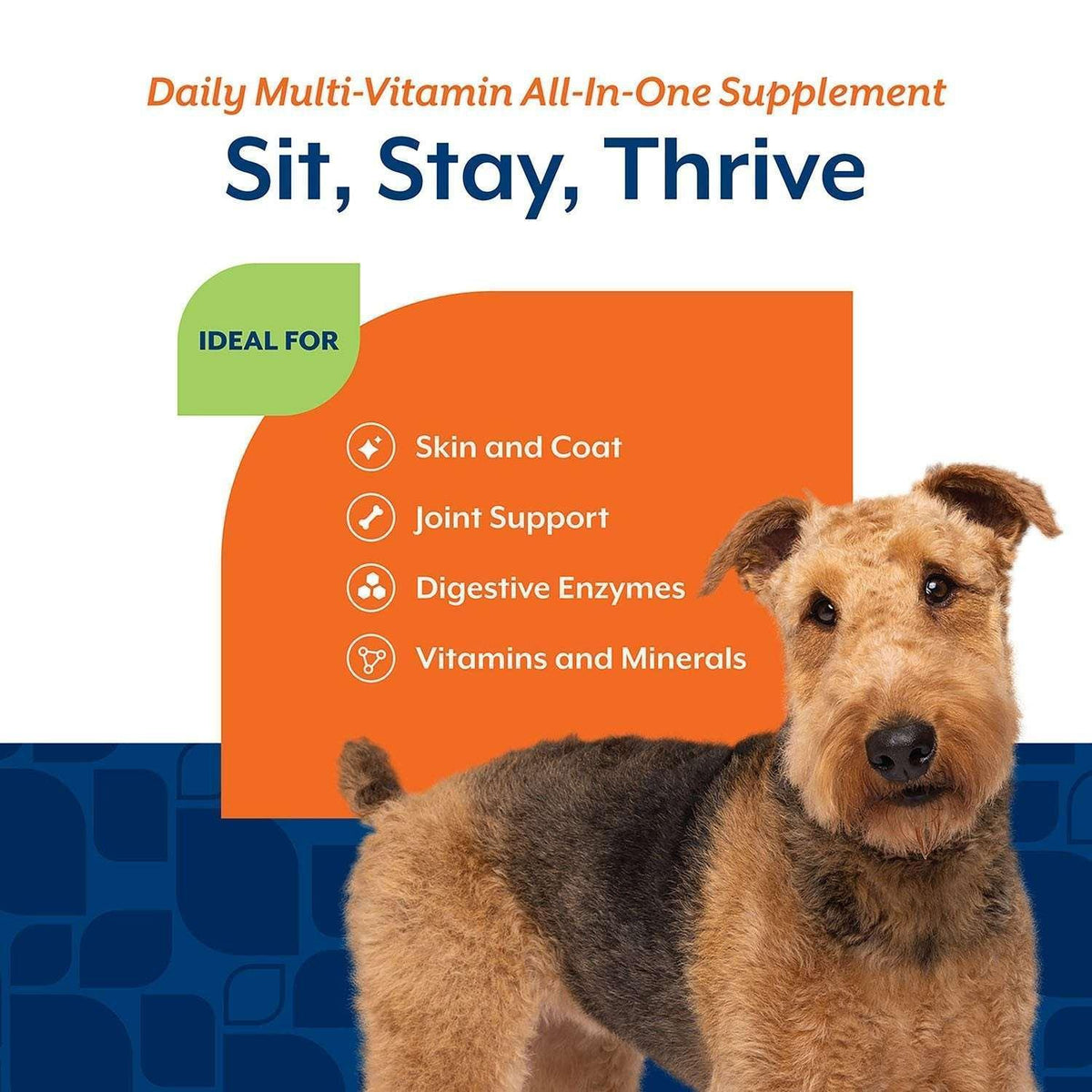 NaturVet Daily Multi-Vitamin All-In-One Supplement for Dogs, 240 ct.