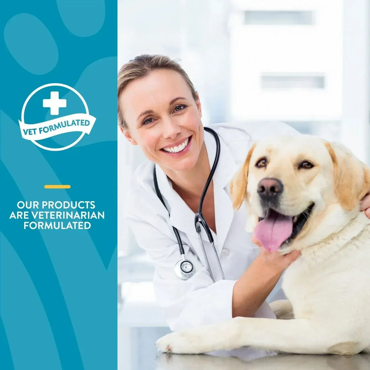 NaturVet, Quiet Moments Plus Melatonin, Soft Chews for Dogs, 240 ct.