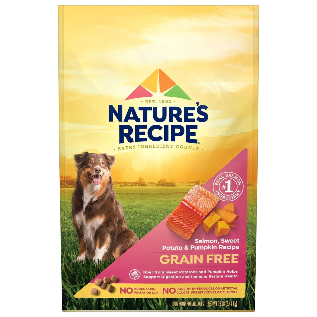 Nature's Recipe Grain Free Salmon, Sweet Potato & Pumpkin Dry Dog Food