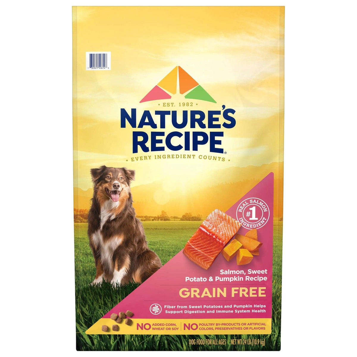 Nature's Recipe Grain Free Salmon, Sweet Potato & Pumpkin Dry Dog Food