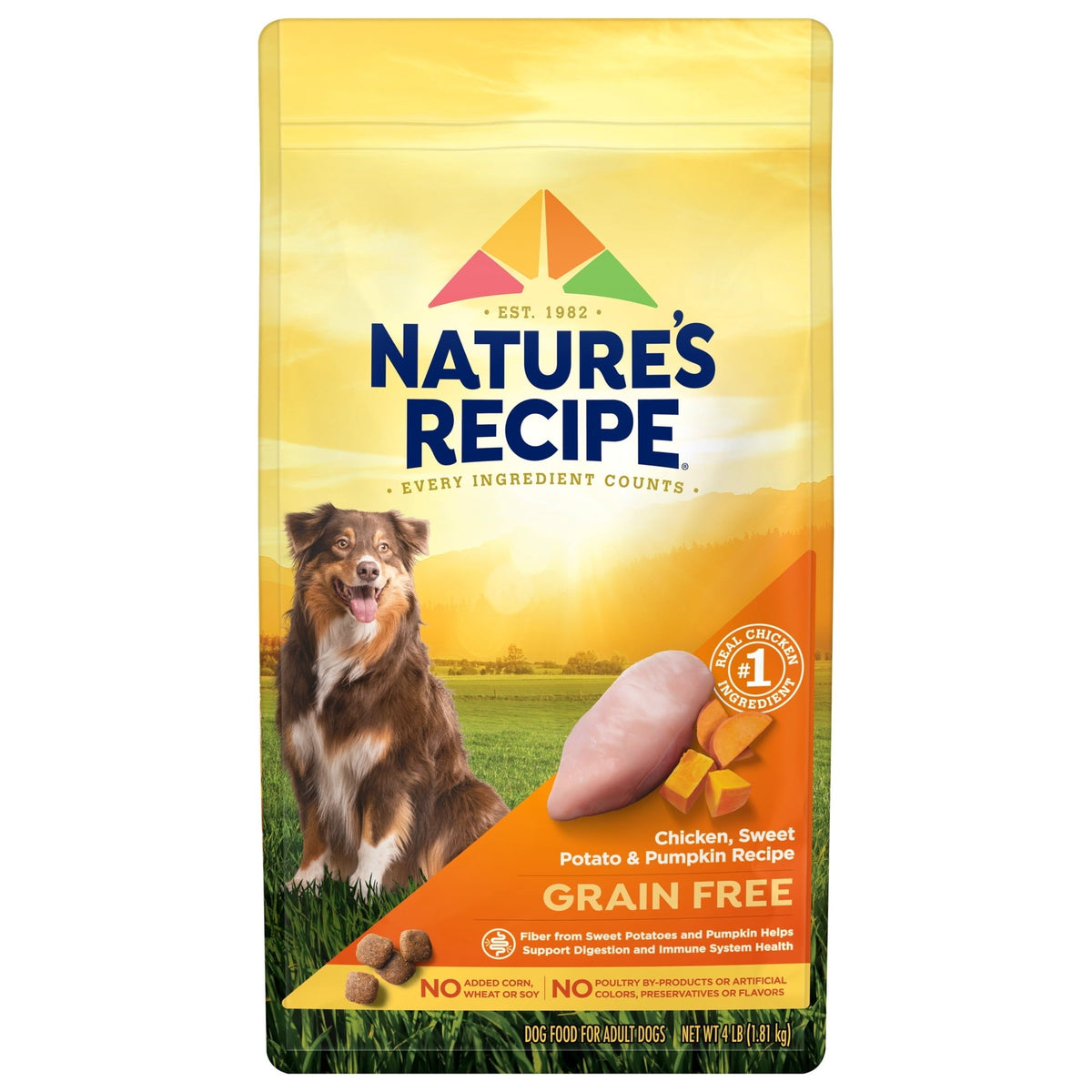 Nature's Recipe Grain Free Chicken, Sweet Potato & Pumpkin Dry Dog Food