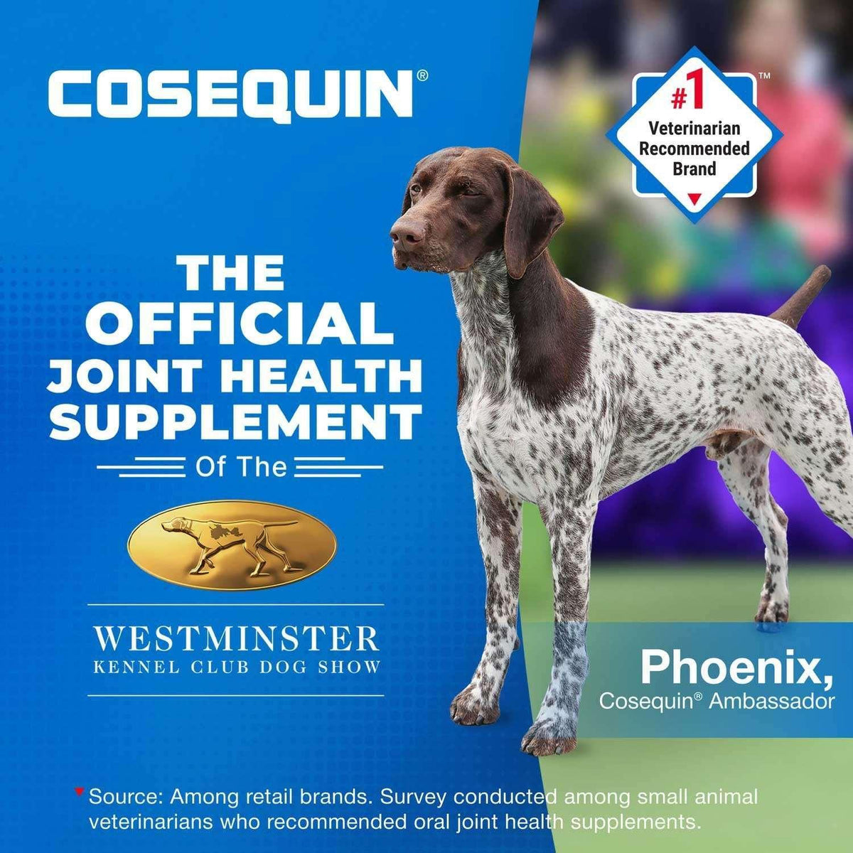 Nutramax Cosequin Joint Health Supplement for Dogs with Glucosamine, Chondroitin, MSM, Omega-3's and HA, 150 Soft Chews