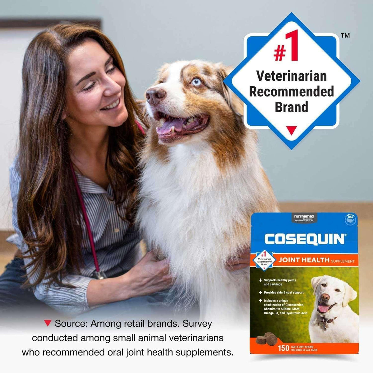 Nutramax Cosequin Joint Health Supplement for Dogs with Glucosamine, Chondroitin, MSM, Omega-3's and HA, 150 Soft Chews