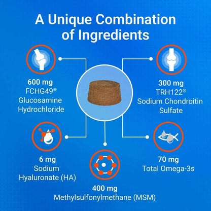 Nutramax Cosequin Joint Health Supplement for Dogs with Glucosamine, Chondroitin, MSM, Omega-3's and HA, 150 Soft Chews
