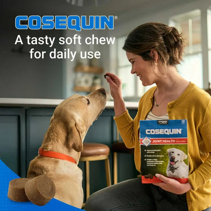 Nutramax Cosequin Joint Health Supplement for Dogs with Glucosamine, Chondroitin, MSM, Omega-3's and HA, 150 Soft Chews