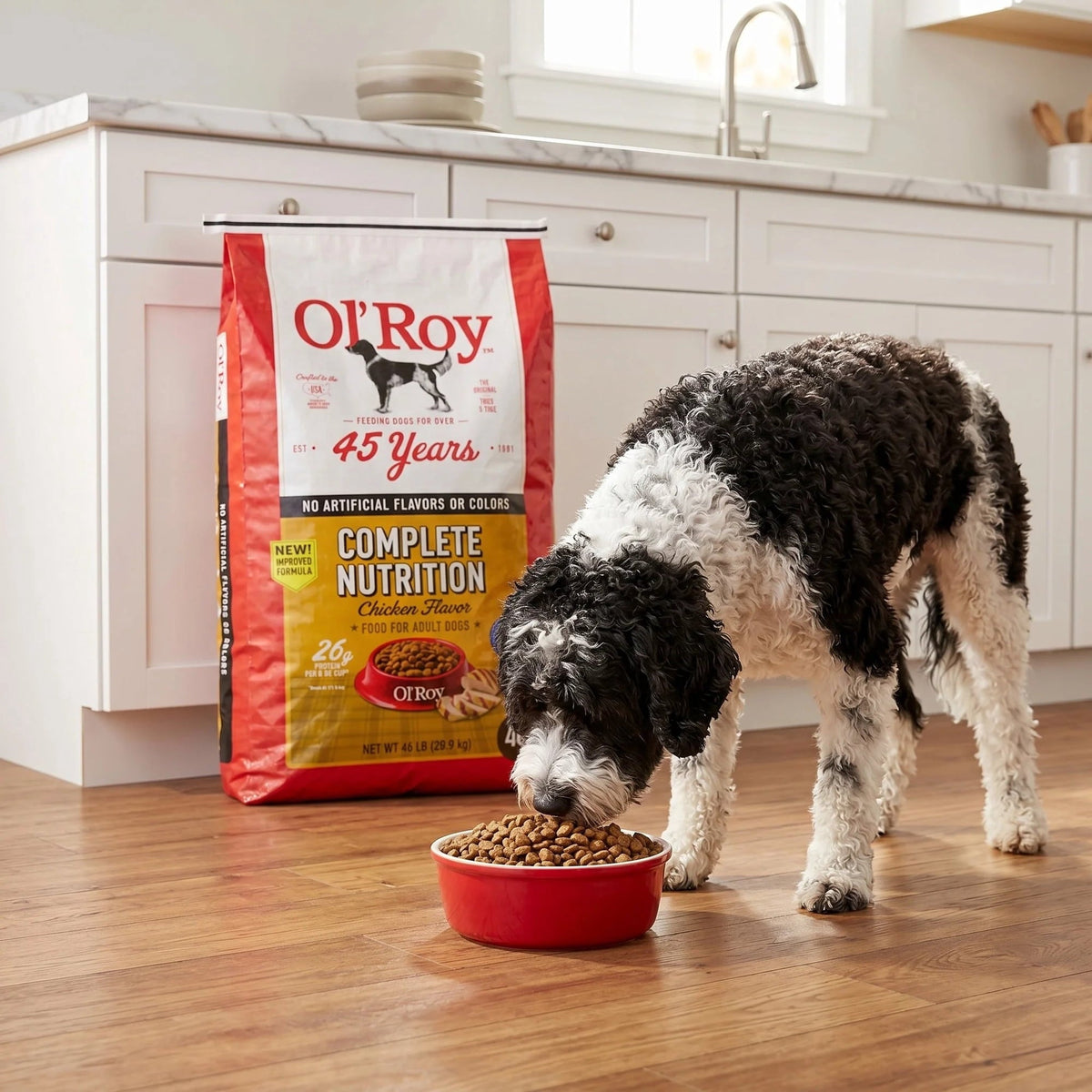 Ol' Roy Complete Nutrition Chicken Flavor Dry Dog Food, 46 lb Bag