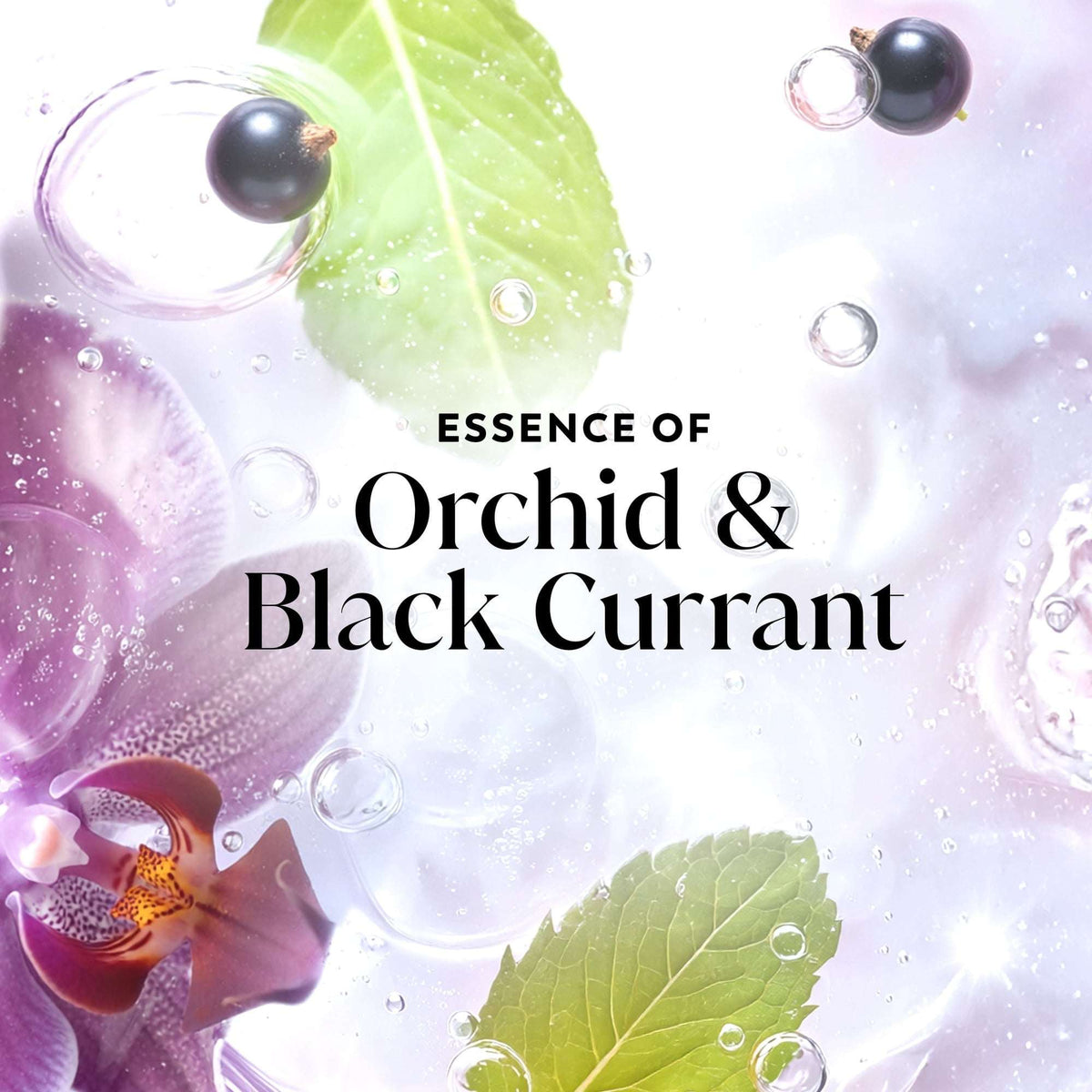 Olay Fresh Radiance Body Wash, Orchid & Black Currant, with Vitamin B3, 35oz