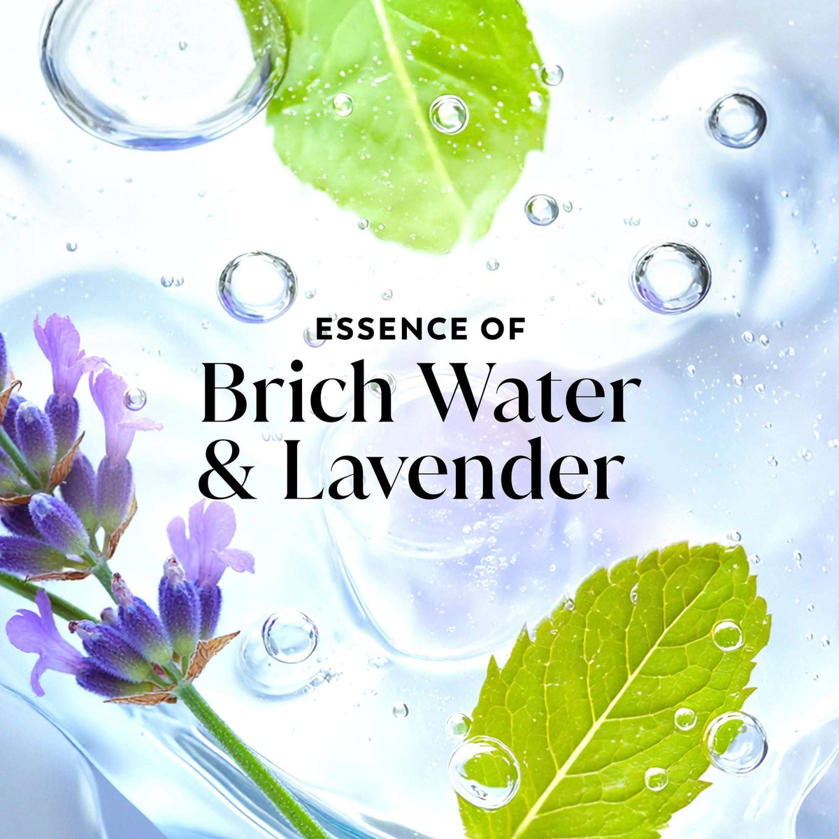 Olay Fresh Radiance Body Wash with Essence of Birch Water and Lavender, Vitamin B3 and Antioxidant Blend