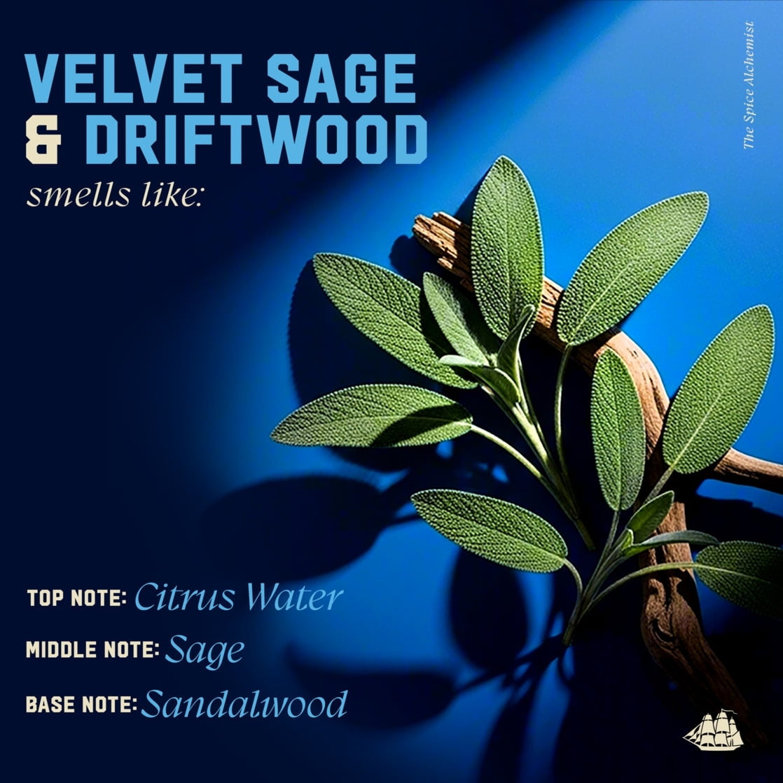 Old Spice Shampoo: The Spice Alchemist, Cologne-Infused Velvet Sage & Driftwood, No Parabens or Phthalates, 21.9 fl oz (PACK OF 3 )