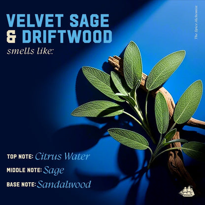 Old Spice Shampoo: The Spice Alchemist, Cologne-Infused Velvet Sage & Driftwood, No Parabens or Phthalates, 21.9 fl oz (PACK OF 3 )