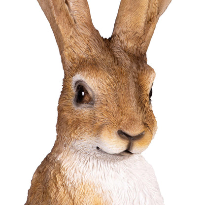 Ornamental Hares, 2-pack