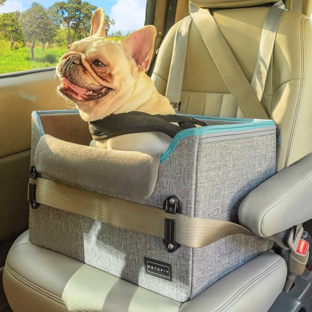 PETSFIT Pet Booster Car Seat for Small Dogs, Puppy Stable Car Seat for Car with Clip-On Leash,Up to 25lbs，Black