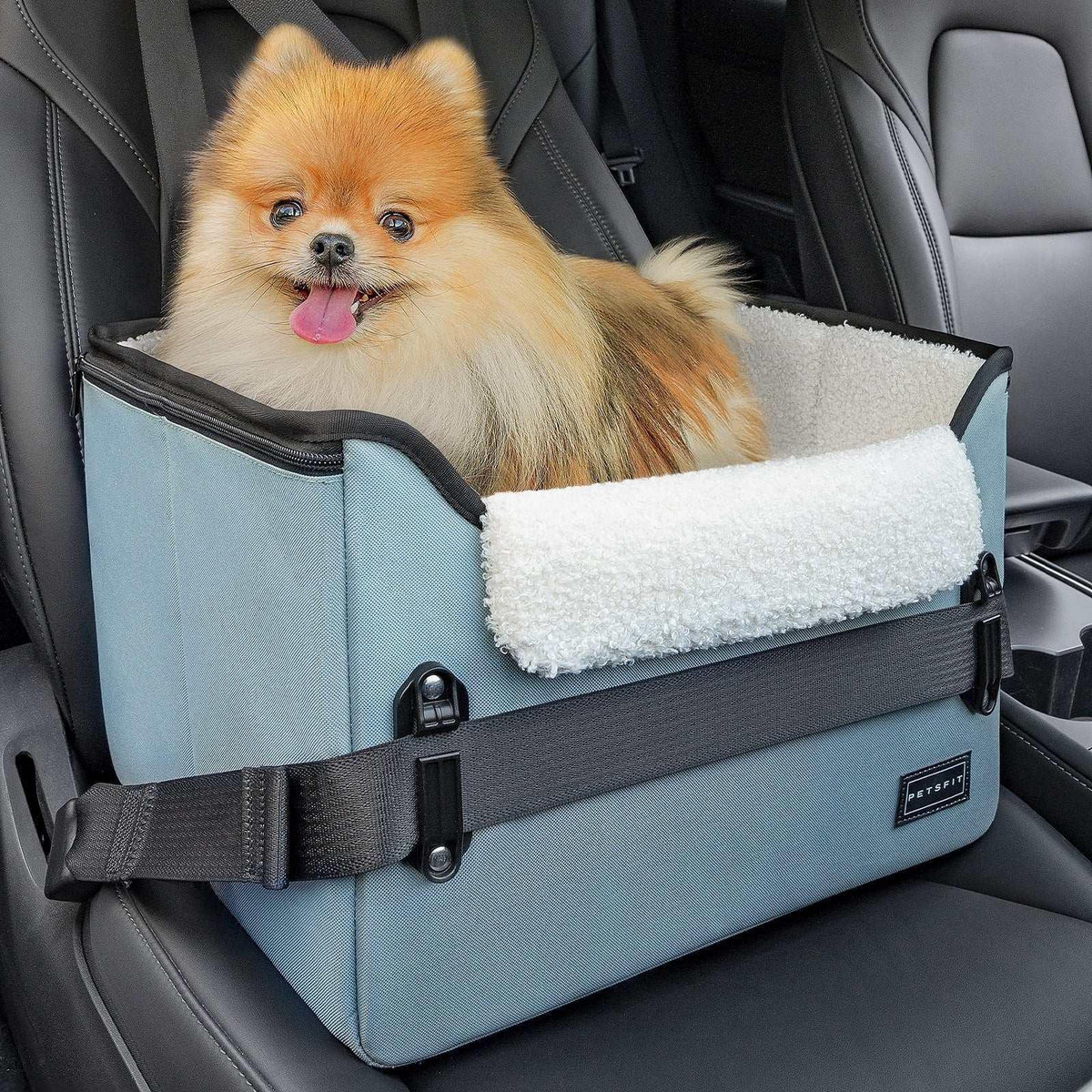 PETSFIT Pet Booster Car Seat for Small Dogs, Puppy Stable Car Seat for Car with Clip-On Leash,Up to 25lbs，Black