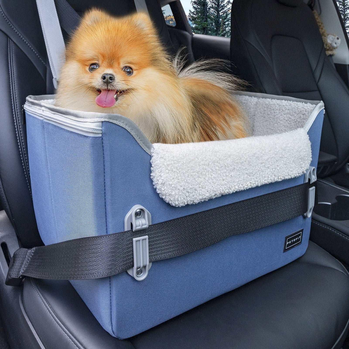PETSFIT Pet Booster Car Seat for Small Dogs, Puppy Stable Car Seat for Car with Clip-On Leash,Up to 25lbs，Black