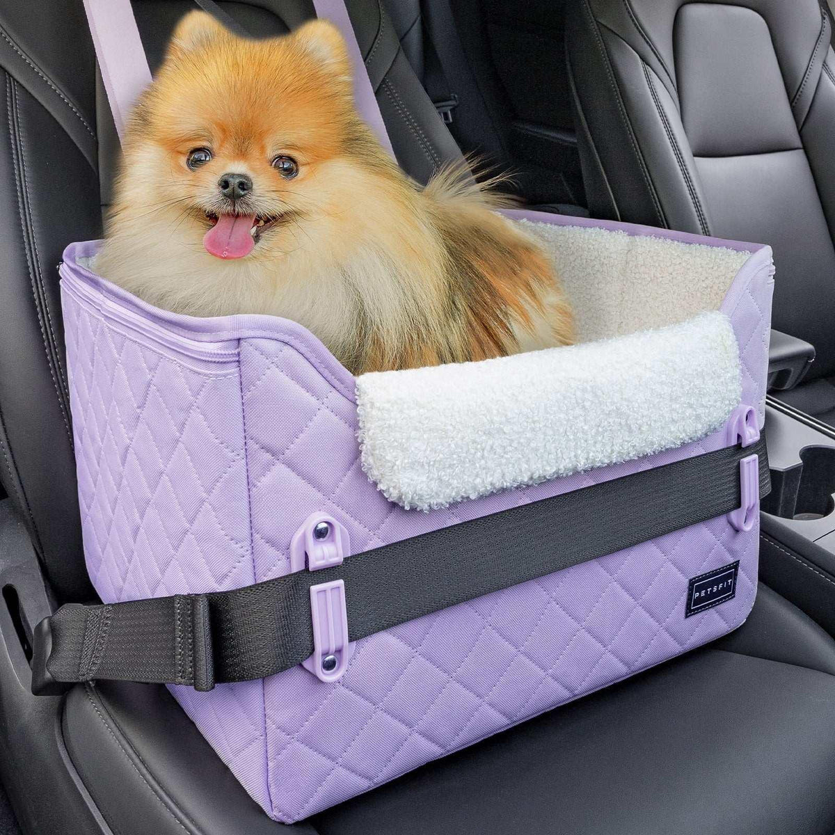 PETSFIT Pet Booster Car Seat for Small Dogs, Puppy Stable Car Seat for Car with Clip-On Leash,Up to 25lbs，Black
