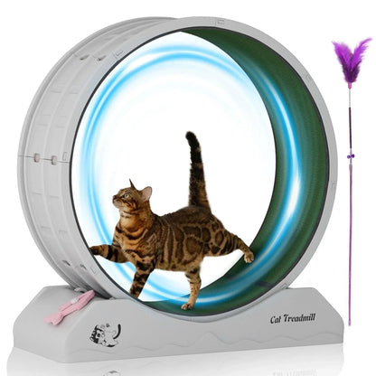 POLAHAKU Cat Exercise Wheel, 31.5'' Cat Treadmill with Carpeted Runway and Safety Lock,Black