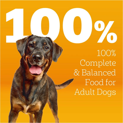 Pedigree Adult Dry Dog Food Roasted Chicken & Vegetable Flavor With Bacon Flavored Bites