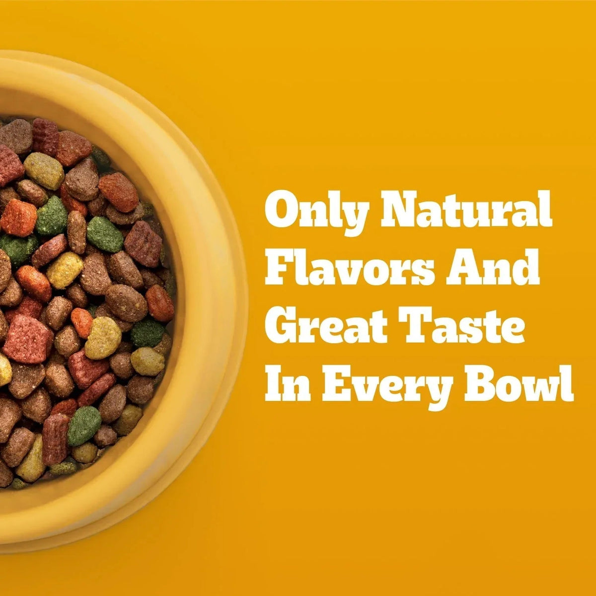 Pedigree Adult Dry Dog Food Roasted Chicken & Vegetable Flavor With Bacon Flavored Bites