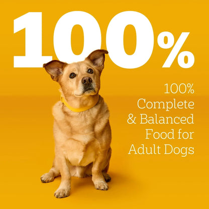 Pedigree Choice Cuts In Gravy Adult Soft Wet Dog Food Variety Pack, 3.5 oz Pouches, 18 Count