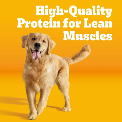 Pedigree Complete Nutrition Adult Dry Dog Food, Roasted Chicken & Vegetable Flavor