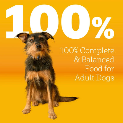 Pedigree Complete Nutrition Adult Dry Dog Food, Roasted Chicken & Vegetable Flavor