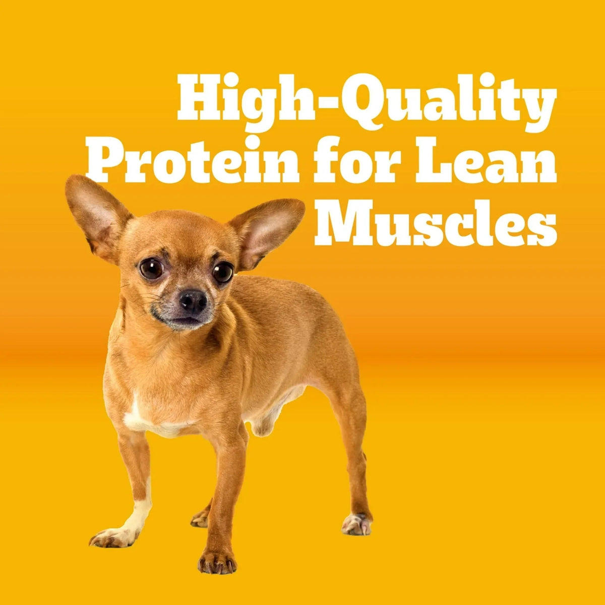 Pedigree Adult Small Dog Dry Dog Food, Roasted Chicken and Vegetable Flavor