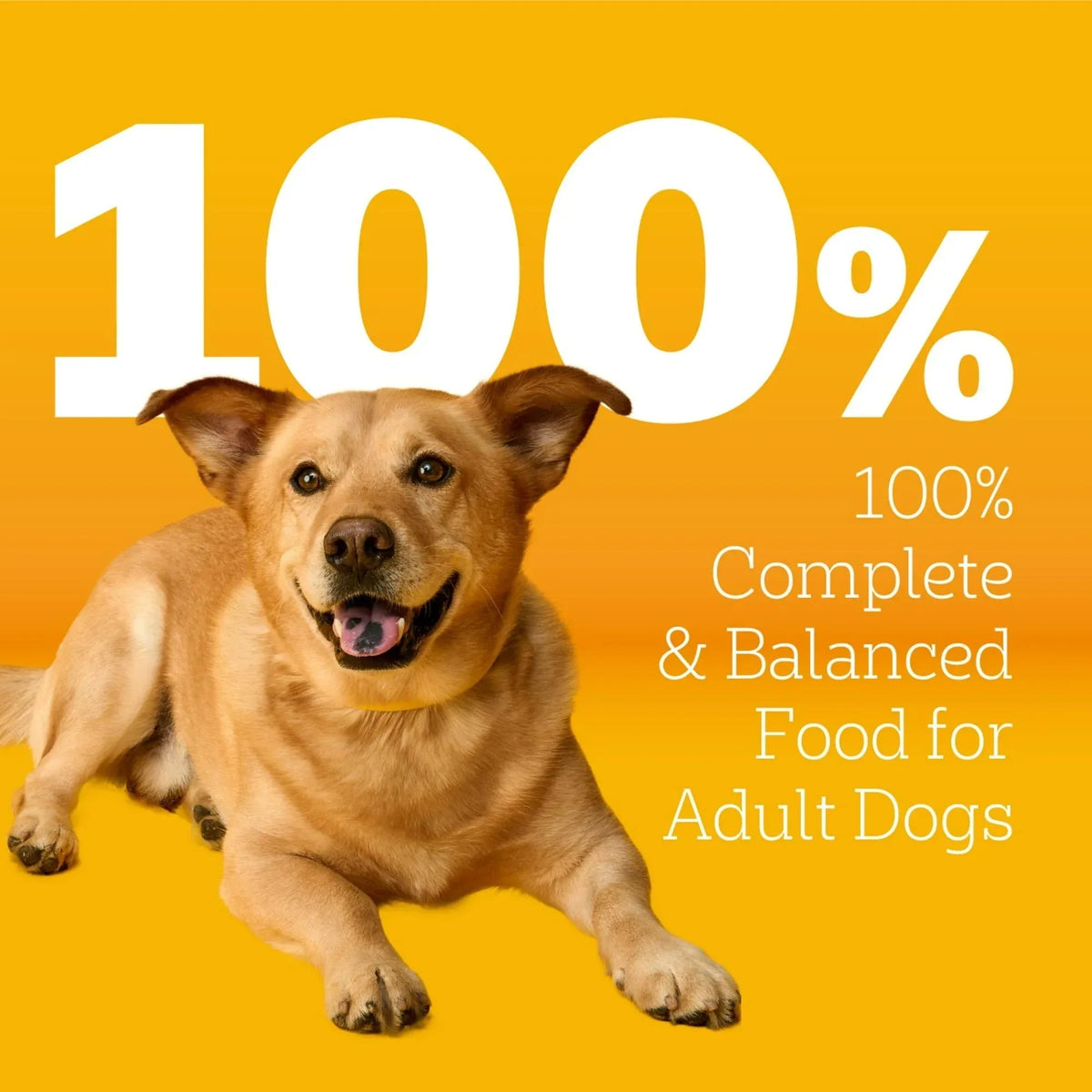 Pedigree Adult Small Dog Dry Dog Food, Roasted Chicken and Vegetable Flavor