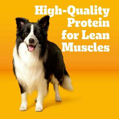 Pedigree With MarroBites Pieces Adult Dry Dog Food, Grilled Steak and Vegetable Flavor, 36 lb. Bag