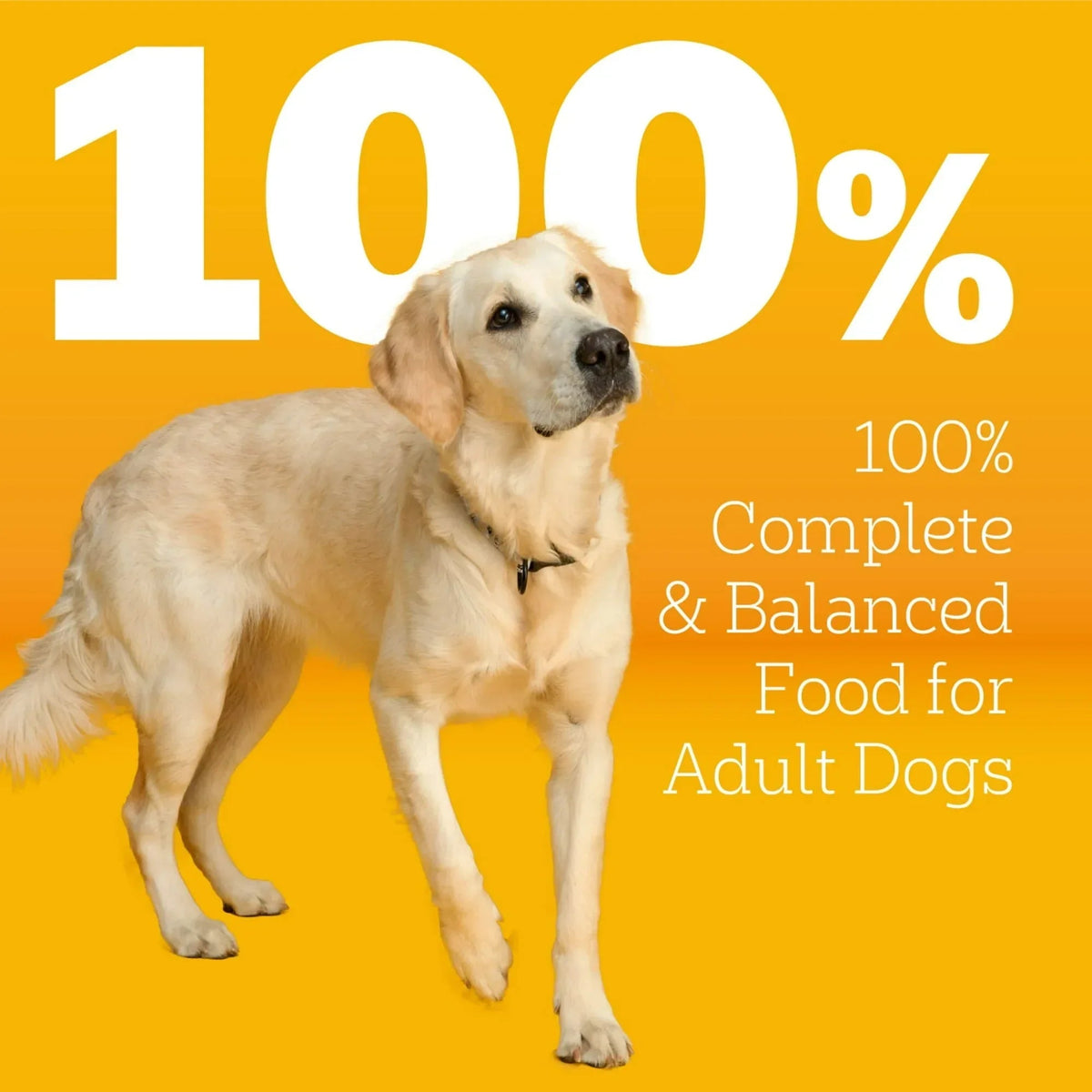Pedigree With MarroBites Pieces Adult Dry Dog Food, Grilled Steak and Vegetable Flavor, 36 lb. Bag
