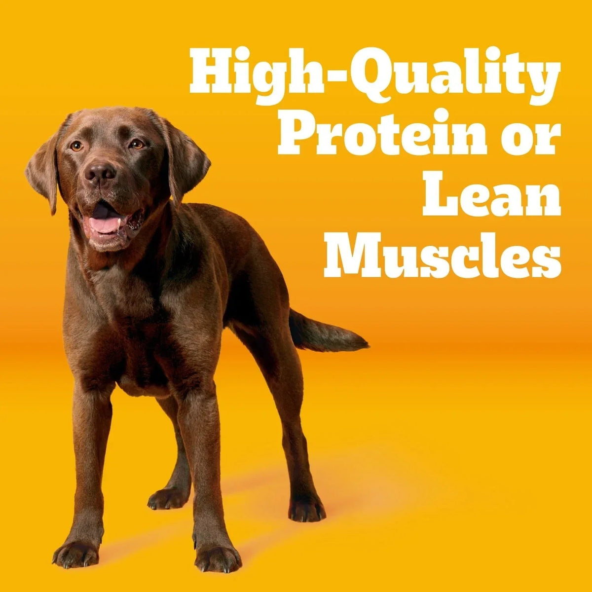 Pedigree With Tender Bites Complete Nutrition Adult Dry Dog Food Chicken & Steak Flavor Dog Kibble, 30 Lb Bag