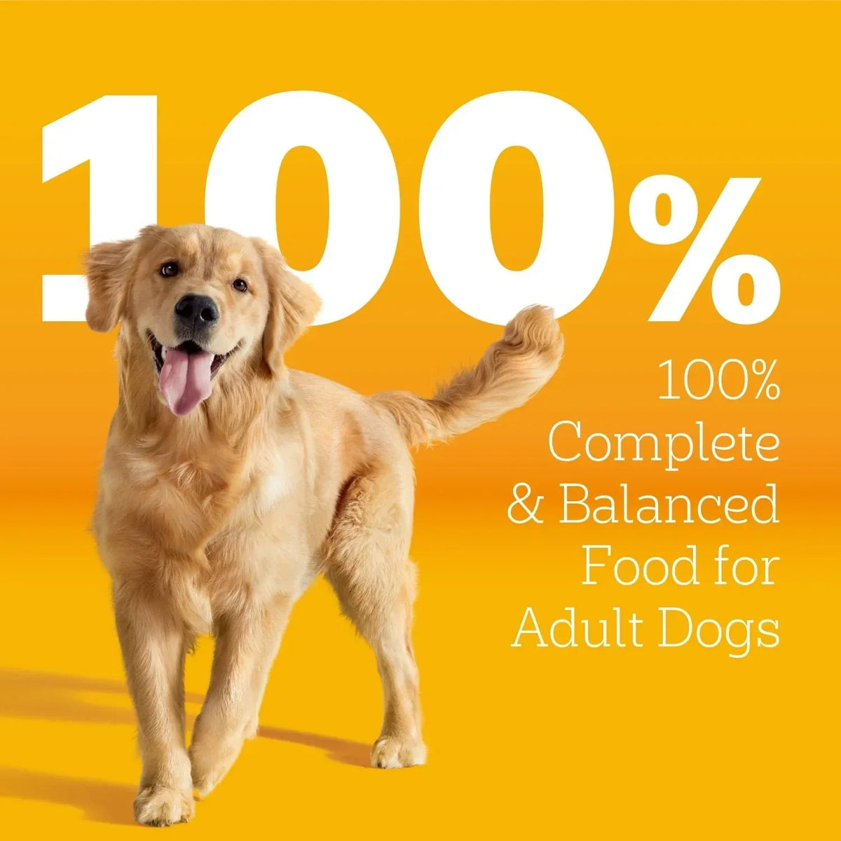 Pedigree With Tender Bites Complete Nutrition Adult Dry Dog Food Chicken & Steak Flavor Dog Kibble, 30 Lb Bag