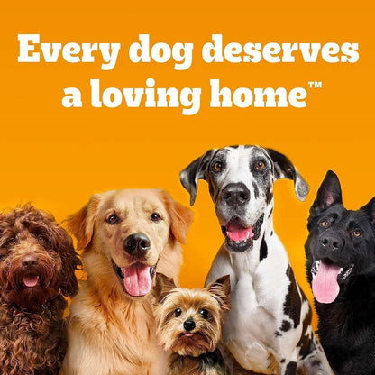 Pedigree DENTASTIX™, Variety Pack, Adult Large Breed Dental Treats, 65 ct.