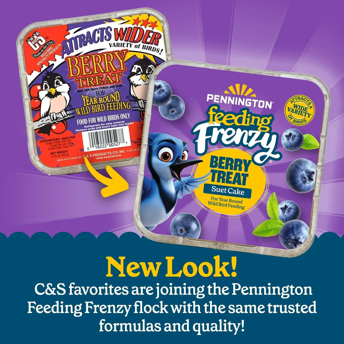 Pennington Feeding Frenzy Berry Treat Suet Cake, 11.75 oz, Suet Cakes for Wild Birds, Wild Bird Food, Fresh