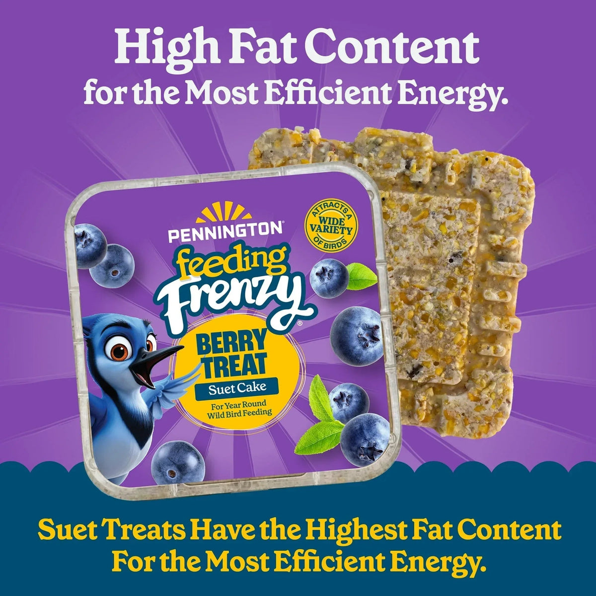 Pennington Feeding Frenzy Berry Treat Suet Cake, 11.75 oz, Suet Cakes for Wild Birds, Wild Bird Food, Fresh