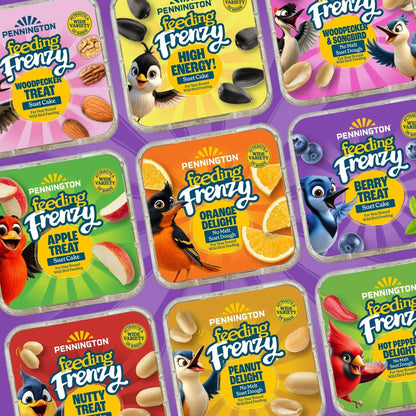 Pennington Feeding Frenzy Berry Treat Suet Cake, 11.75 oz, Suet Cakes for Wild Birds, Wild Bird Food, Fresh