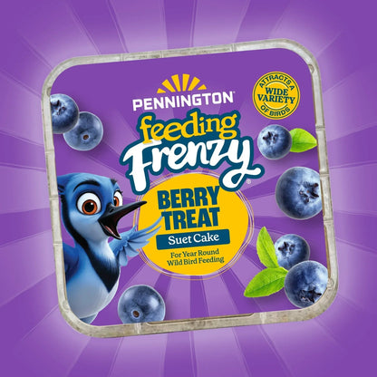 Pennington Feeding Frenzy Berry Treat Suet Cake, 11.75 oz, Suet Cakes for Wild Birds, Wild Bird Food, Fresh