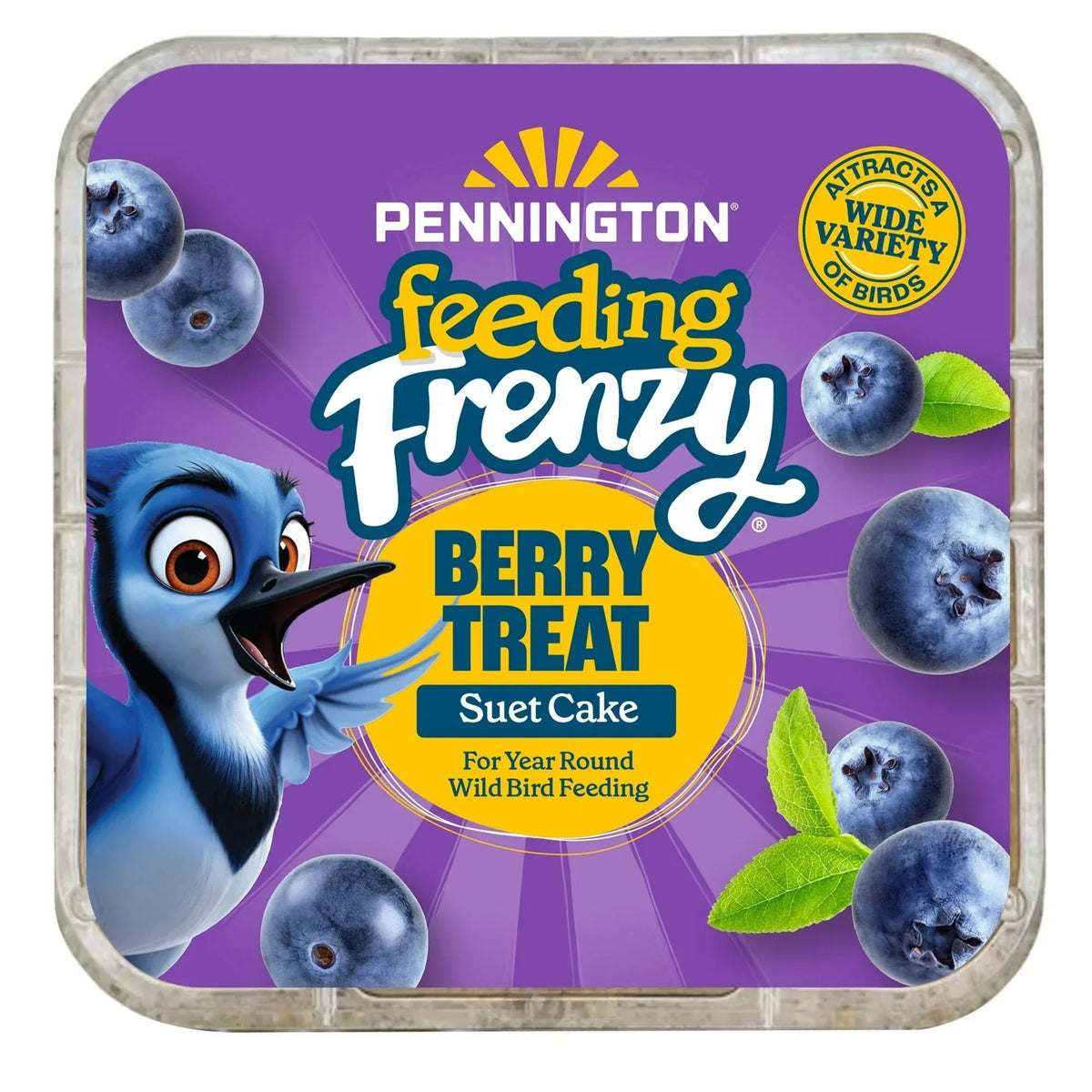 Pennington Feeding Frenzy Berry Treat Suet Cake, 11.75 oz, Suet Cakes for Wild Birds, Wild Bird Food, Fresh