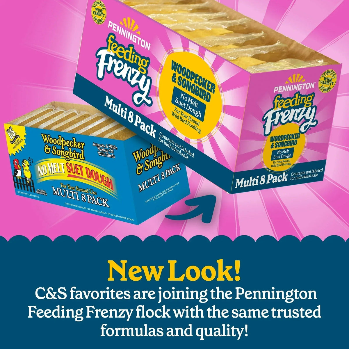 Pennington Feeding Frenzy No-Melt Suet Dough Woodpecker & Songbird Suet Cakes for Wild Birds, Wild Bird Food, 10 Oz. Cake, 8 Count Value Pack, Fresh