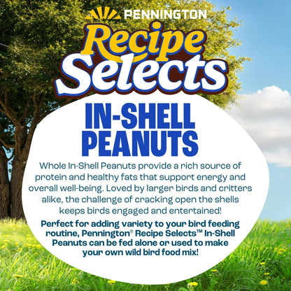 Pennington Recipe Selects Peanuts in Shell for Birds, Wildlife and Wild Bird Food, 5 lb. Bag, Dry, 1 Pack