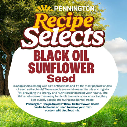 Pennington Recipe Selects Black Oil Sunflower Seed Dry Wild Bird Feed, Bird Food, 1 Pack