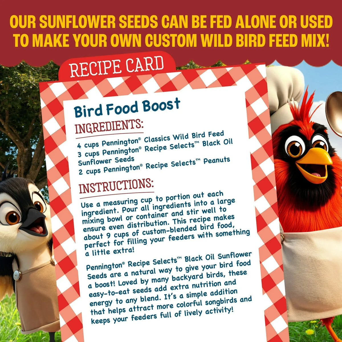 Pennington Recipe Selects Black Oil Sunflower Seed Dry Wild Bird Feed, Bird Food, 1 Pack