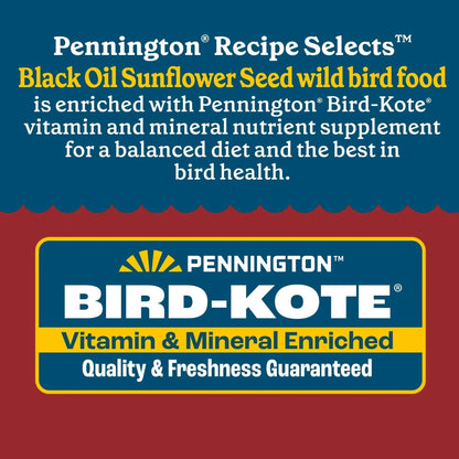 Pennington Recipe Selects Black Oil Sunflower Seed Dry Wild Bird Feed, Bird Food, 1 Pack